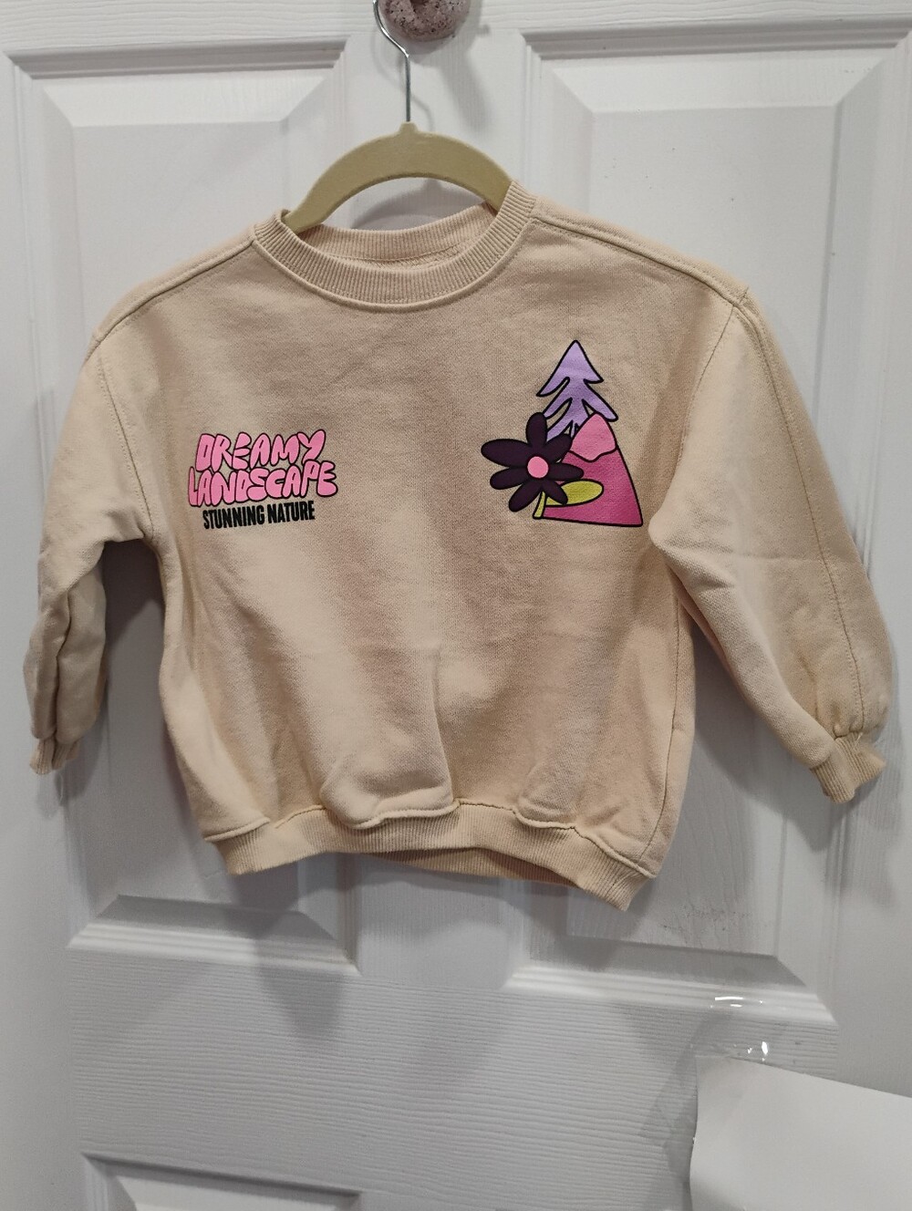 🩷 2/$27...NWOT Zara Sweatshirt